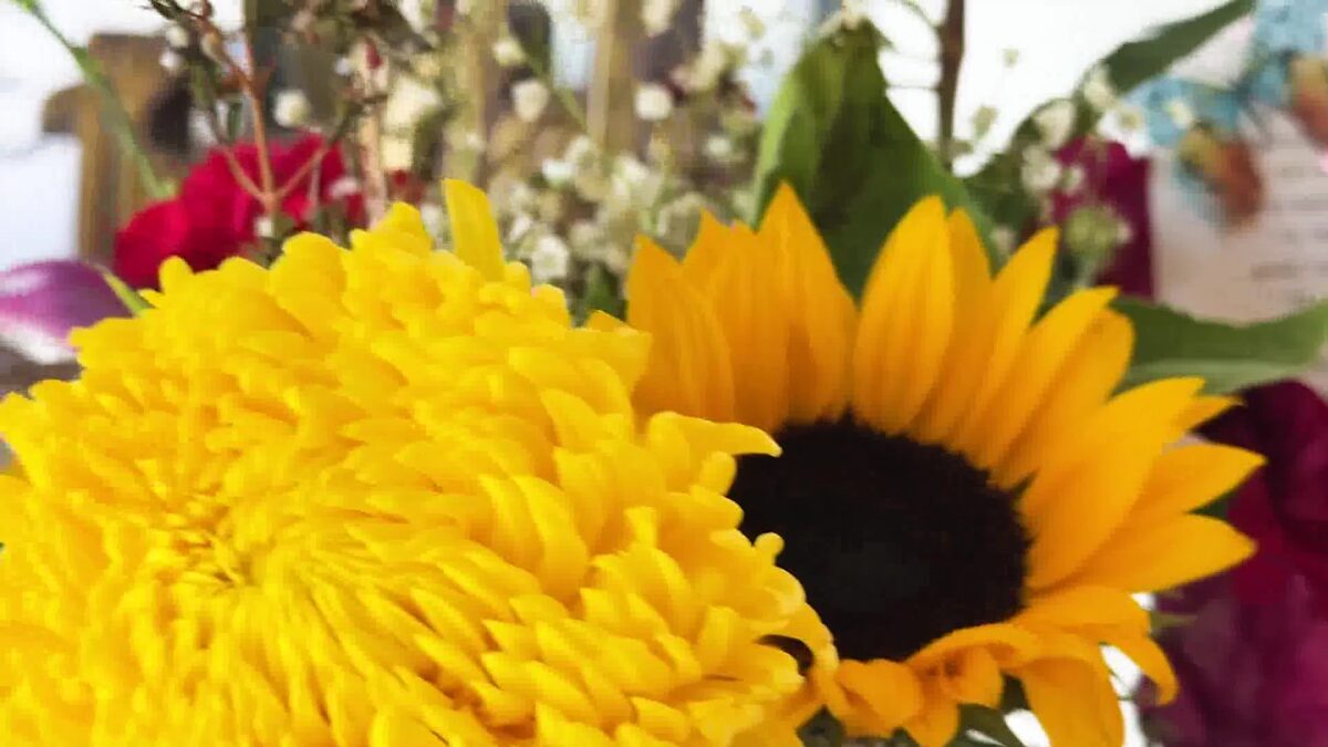 Teens Explore End-of-Life Care at Hospice Facility in Santa Barbara