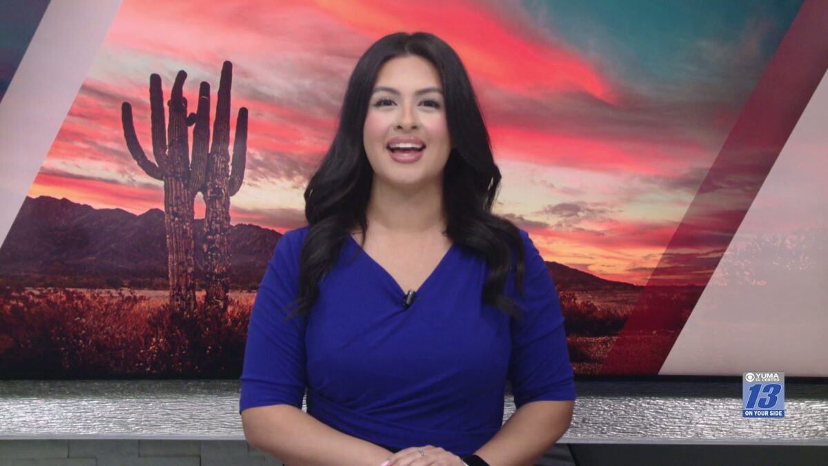 A Yuma hit-and-run suspect pleads guilty to two charges