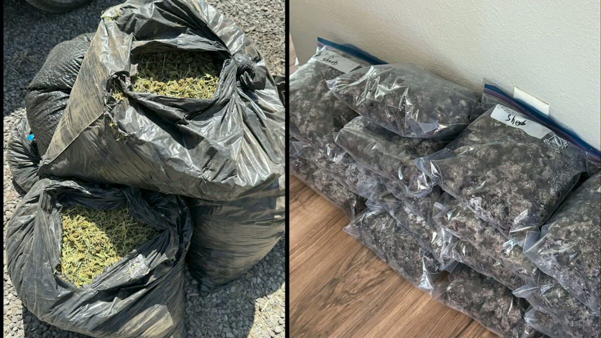 La Pine-area drug raid turns up illegal marijuana grow; resident cited on felony charges