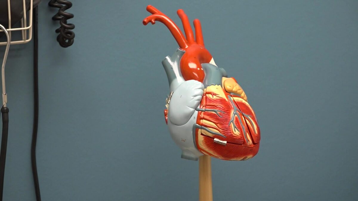 New technology to improve heart health