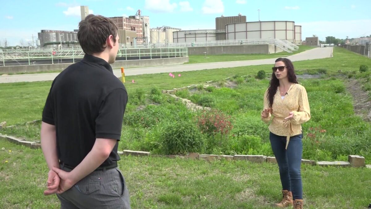 Rain gardens help pollinators