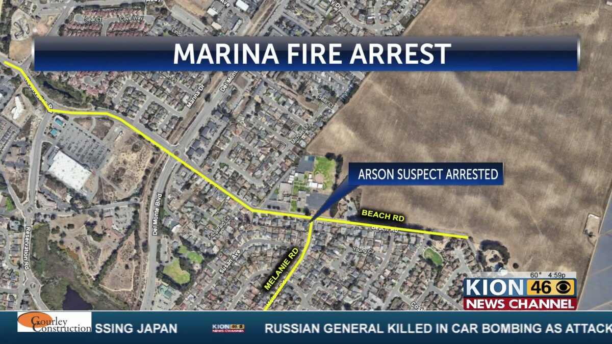 Arson suspect arrested after Marina Police say he set fire to a eucalyptus tree