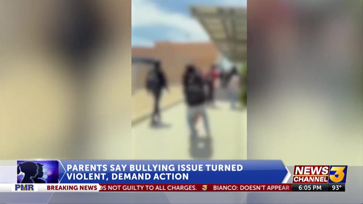 Parents allege bullying issue turned violent at West Shores High School