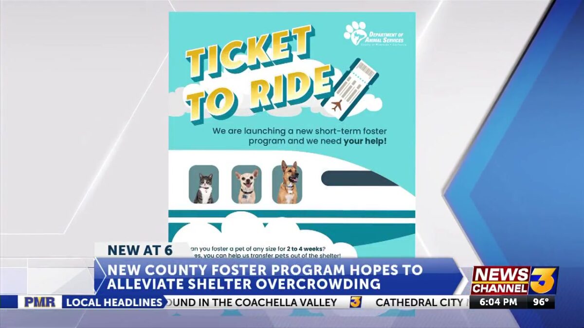 ‘Ticket to Ride