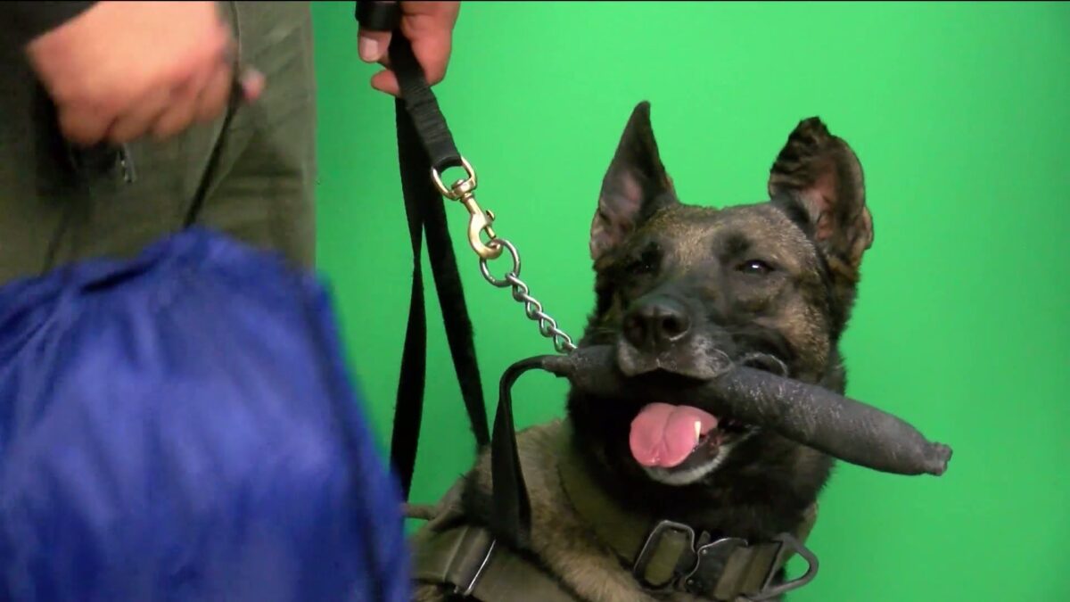 K9 Ops Foundation presents gift packs to honor local law enforcement canine partners