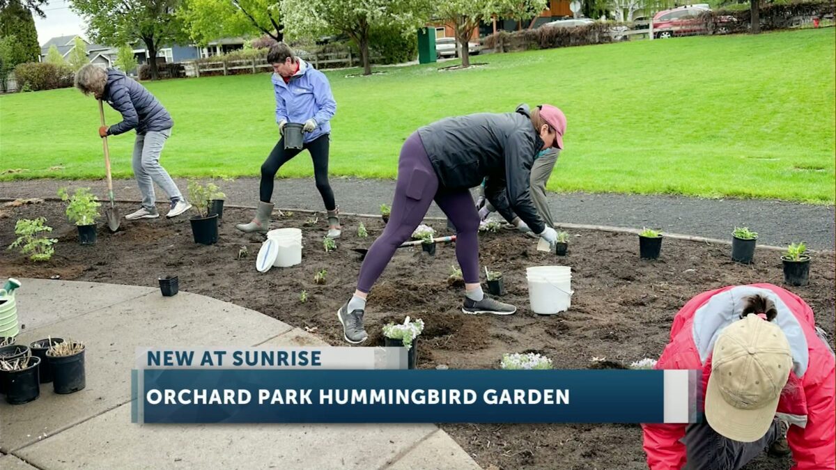Bend’s Orchard Park receives new hummingbird garden from local volunteers