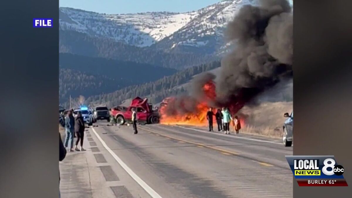 International and regional tourists killed in Island Park crash identified