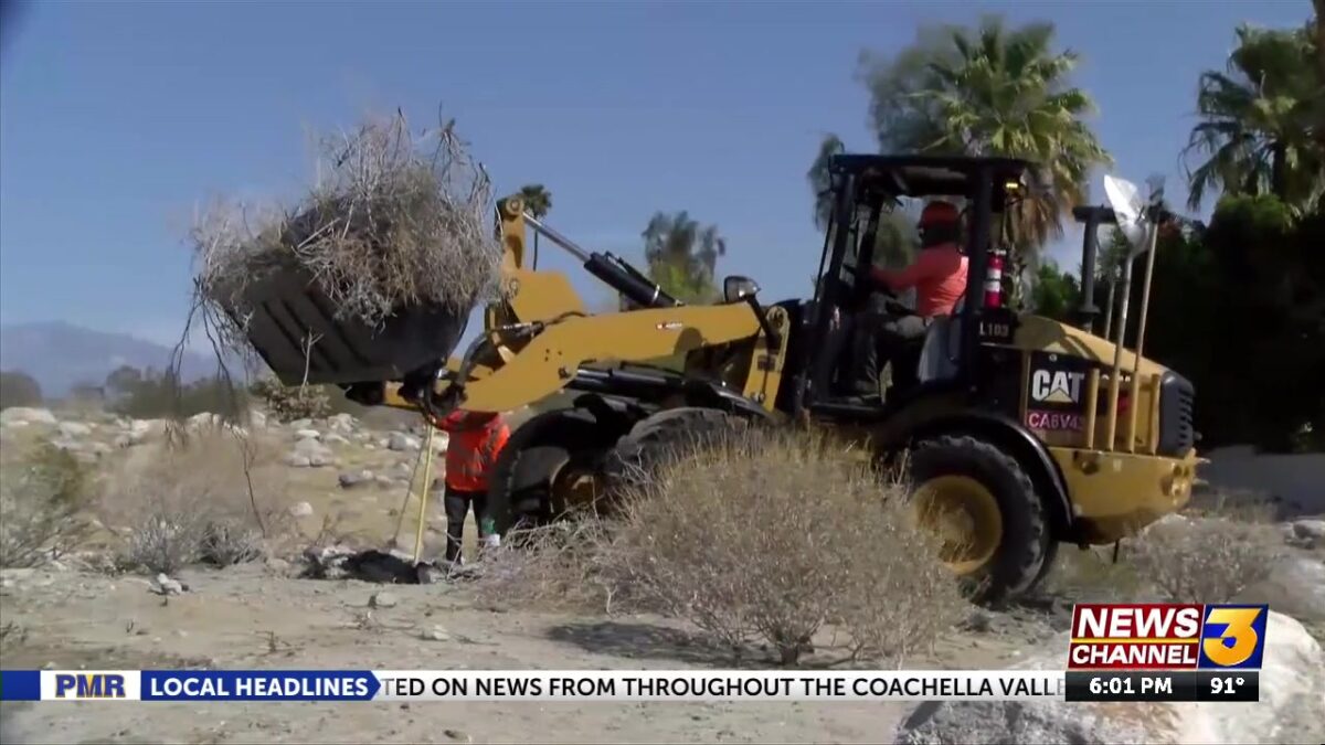 PS Fire Department begins annual wildfire mitigation brush removal