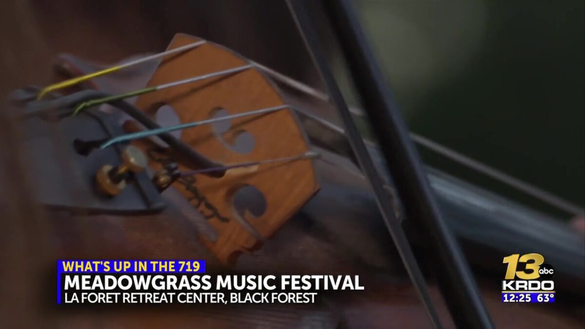 Meadowgrass music festival returns to woods of Black Forest