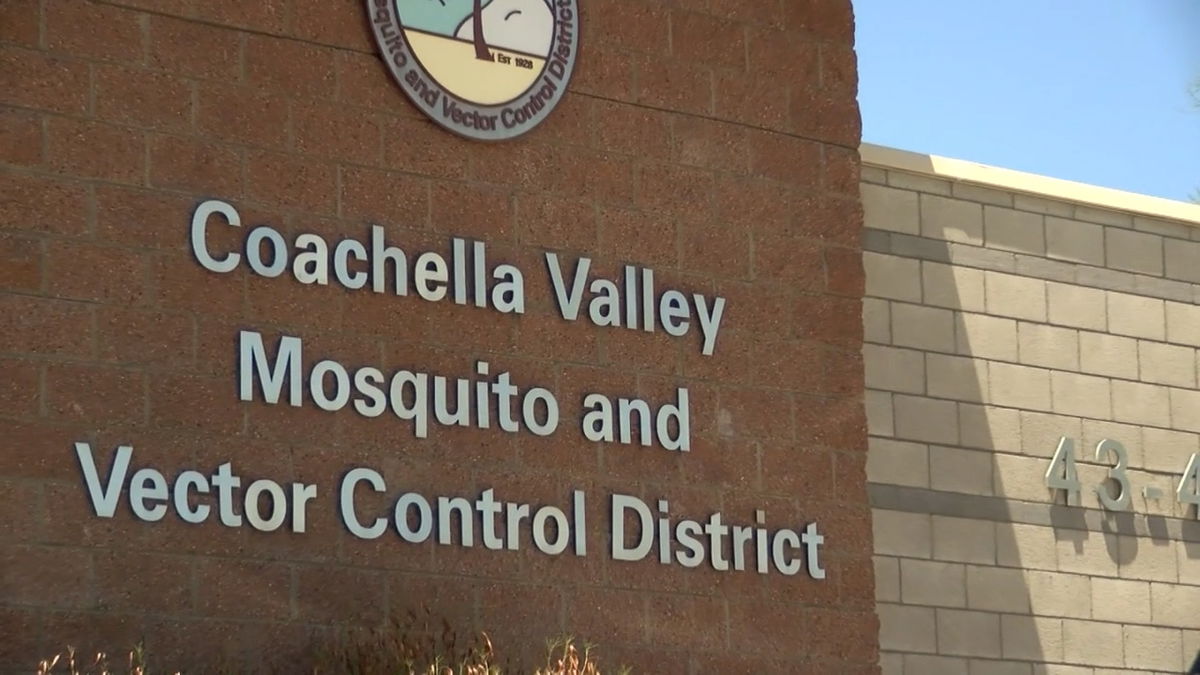 Positive sample of mosquito-borne virus located in Mecca
