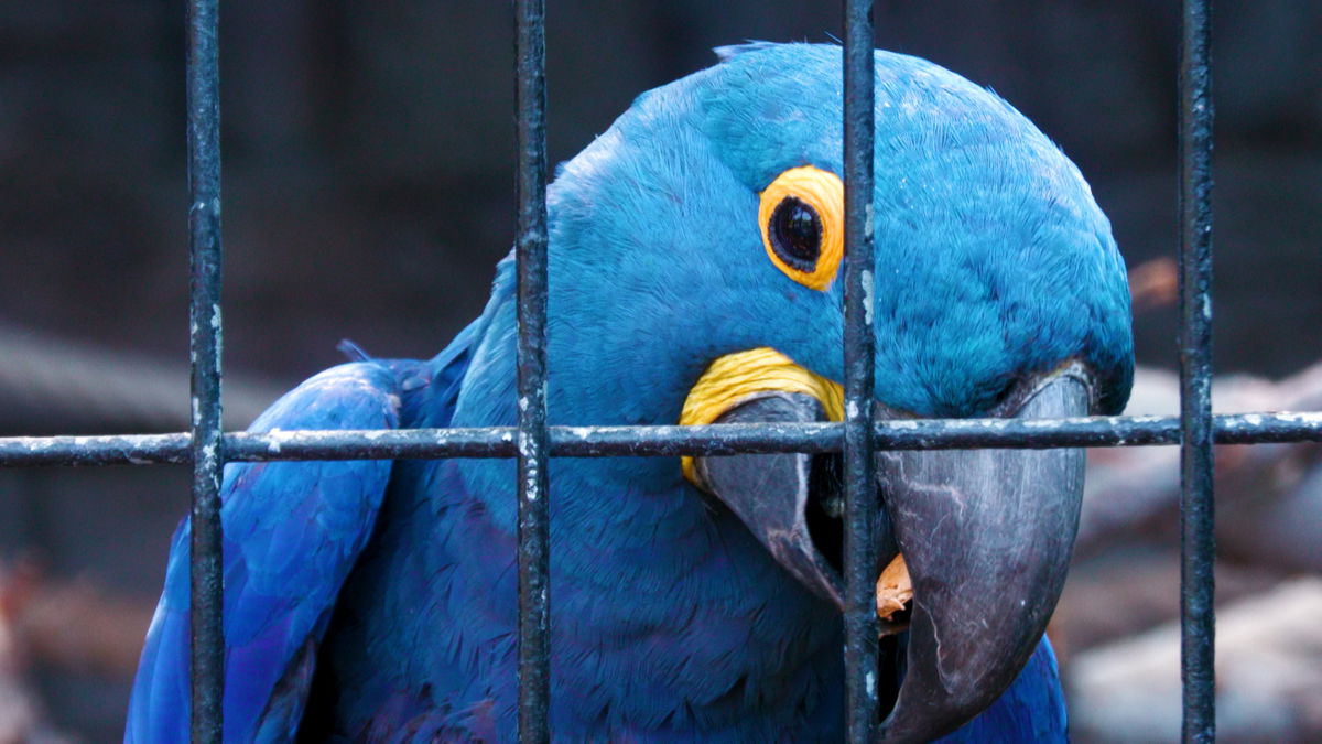 Dads visit the zoo with their kids on Father’s Day