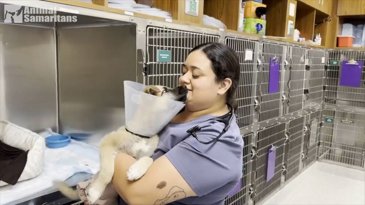 Grant helps Animal Samaritans give second chances to at-risk pets