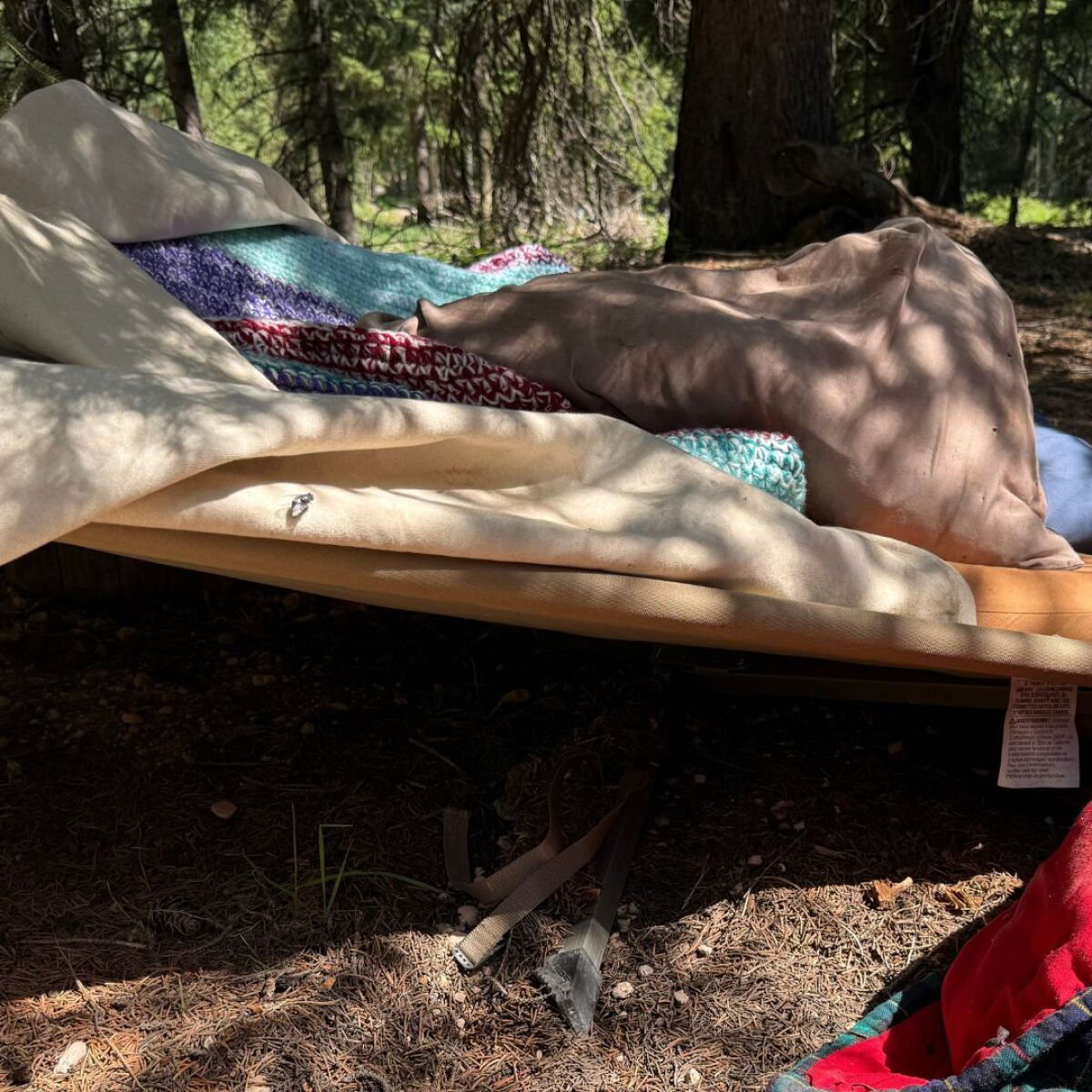 Man survives black bear attack; bear euthanized