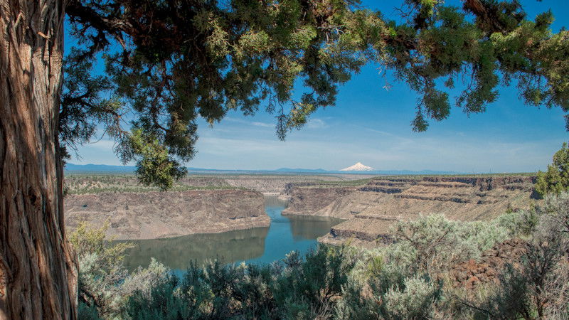 Oregon Health Authority issues recreational use advisory for Lake Billy Chinook due to high levels of cyanotoxins