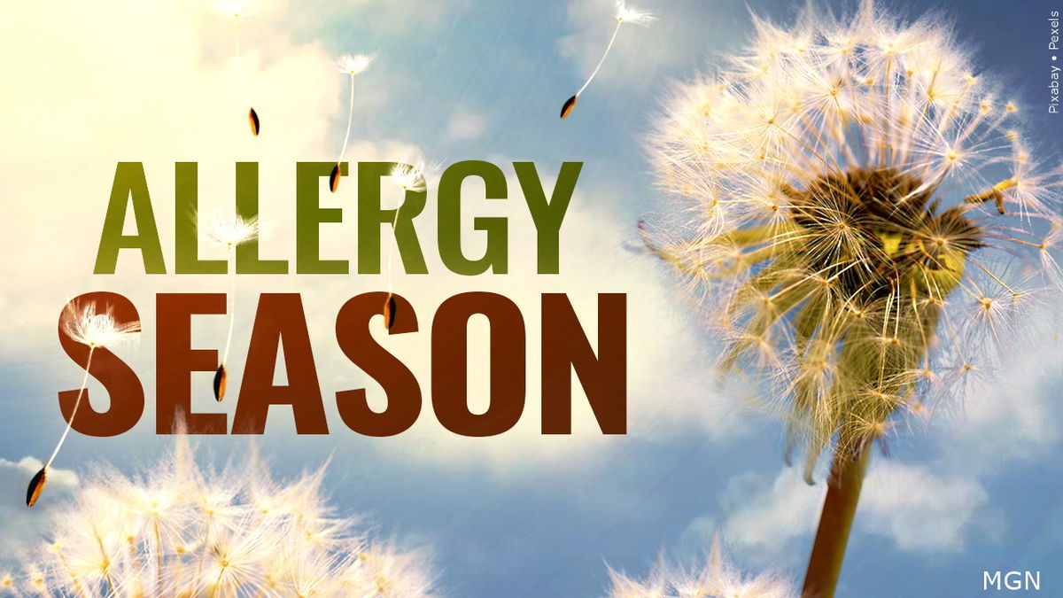 Summer allergies: What causes them and how to beat them