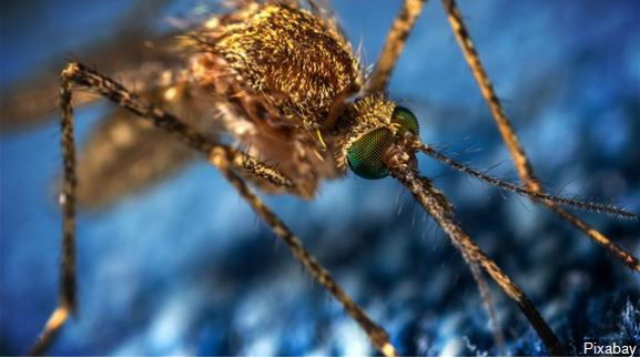 Board OKs mutual aid agreement for vector control ops across region