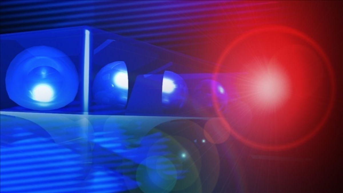 Canadian runaway faces felony charges after multi-state crime spree