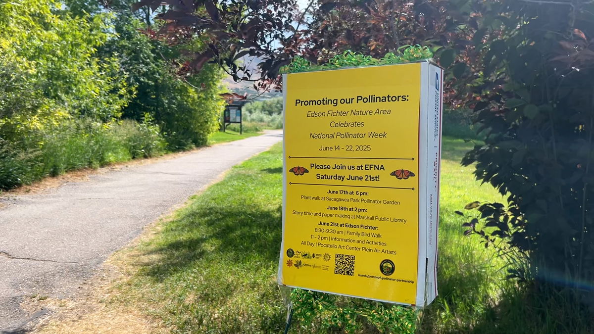 Pocatello conservation groups hosting event to celebrate National Pollinator Week on Saturday