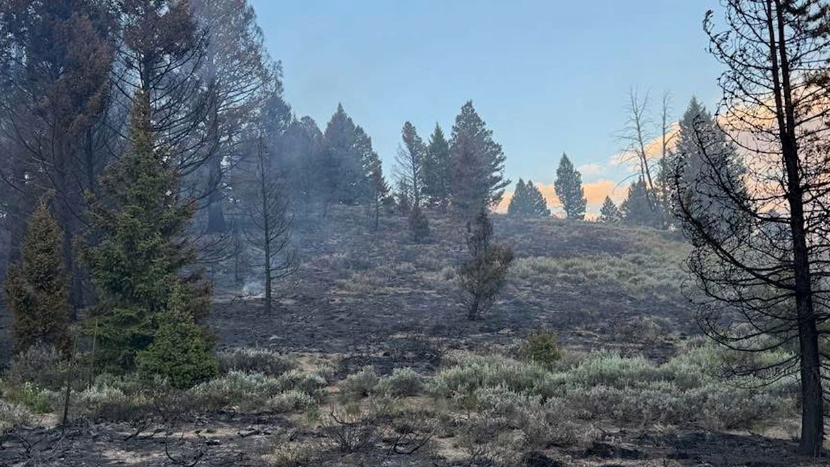 Joe’s Gulch Fire grows to 62 acres