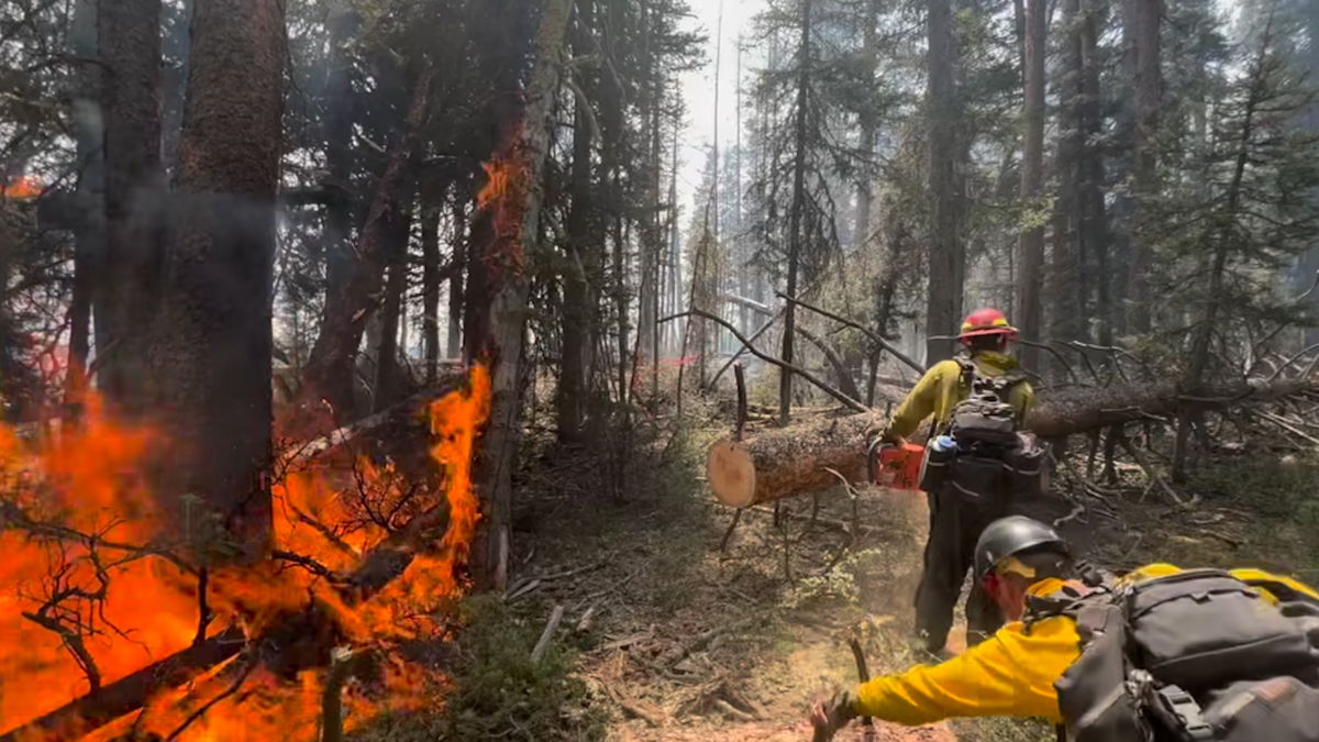 Crews combat Ski and Horse Fires in Bridger-Teton