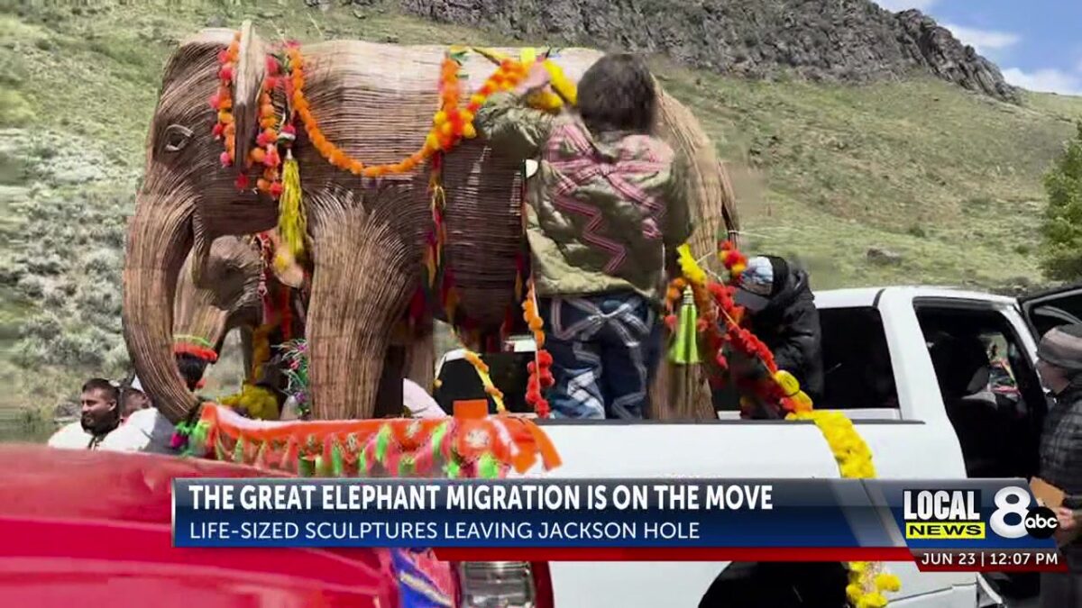 On the move: Life-sized elephant sculptures leave Jackson Hole