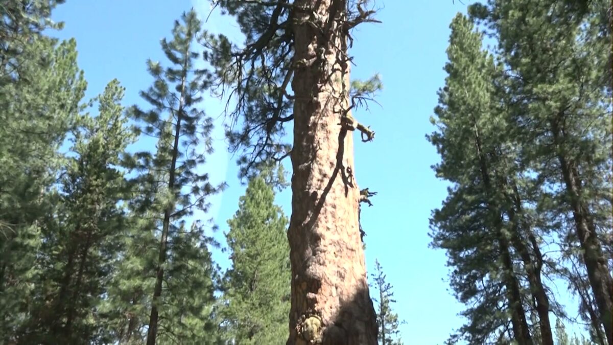 Park Picks: La Pine State Park offers a peaceful escape for visitors