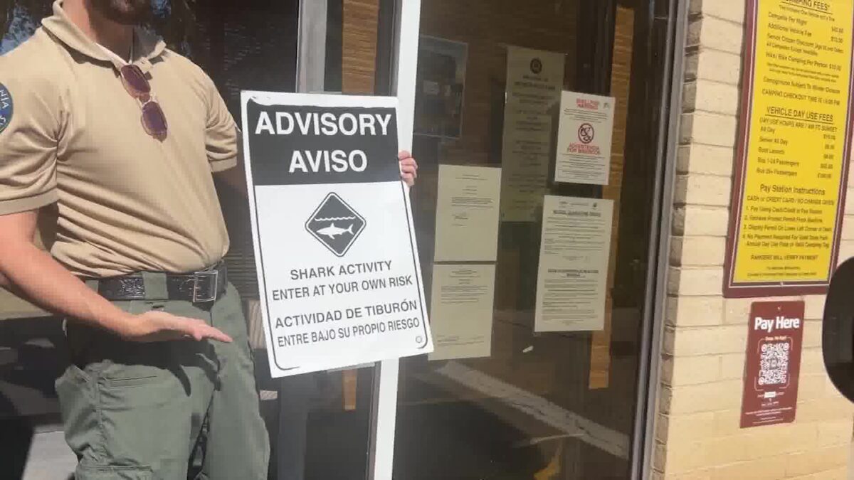 Shark Activity Advisory Sign Comes Down at Gaviota State Beach