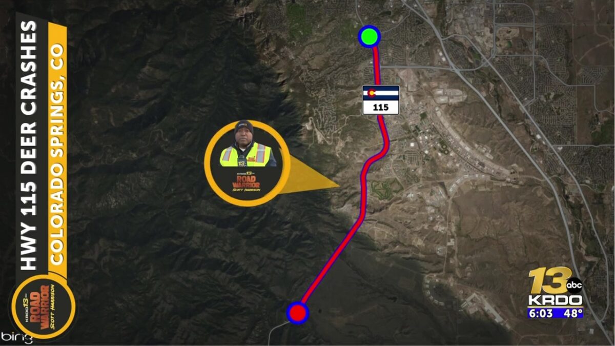 Concerns about deer/auto crashes increase along Highway 115 south of Colorado Springs