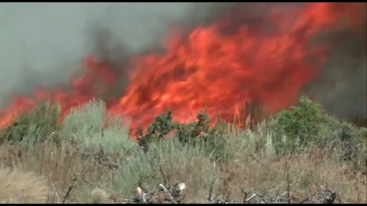 Oregon Department of Forestry talks about new fire restrictions