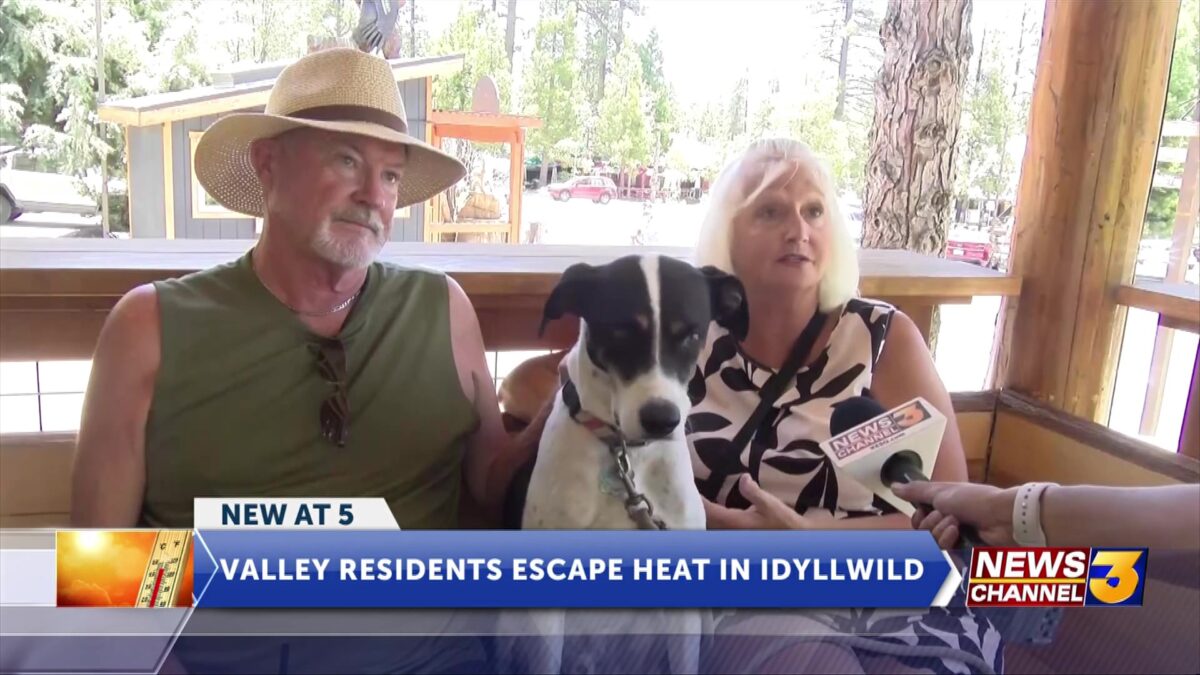 Not ready for summer temps? Idyllwild businesses talk uptick in visitors looking to escape the heat