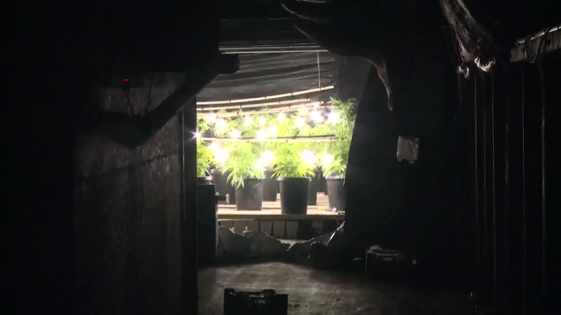 County Sheriff’s Cannabis Enforcement Team Is Disbanded: Shrinking revenues