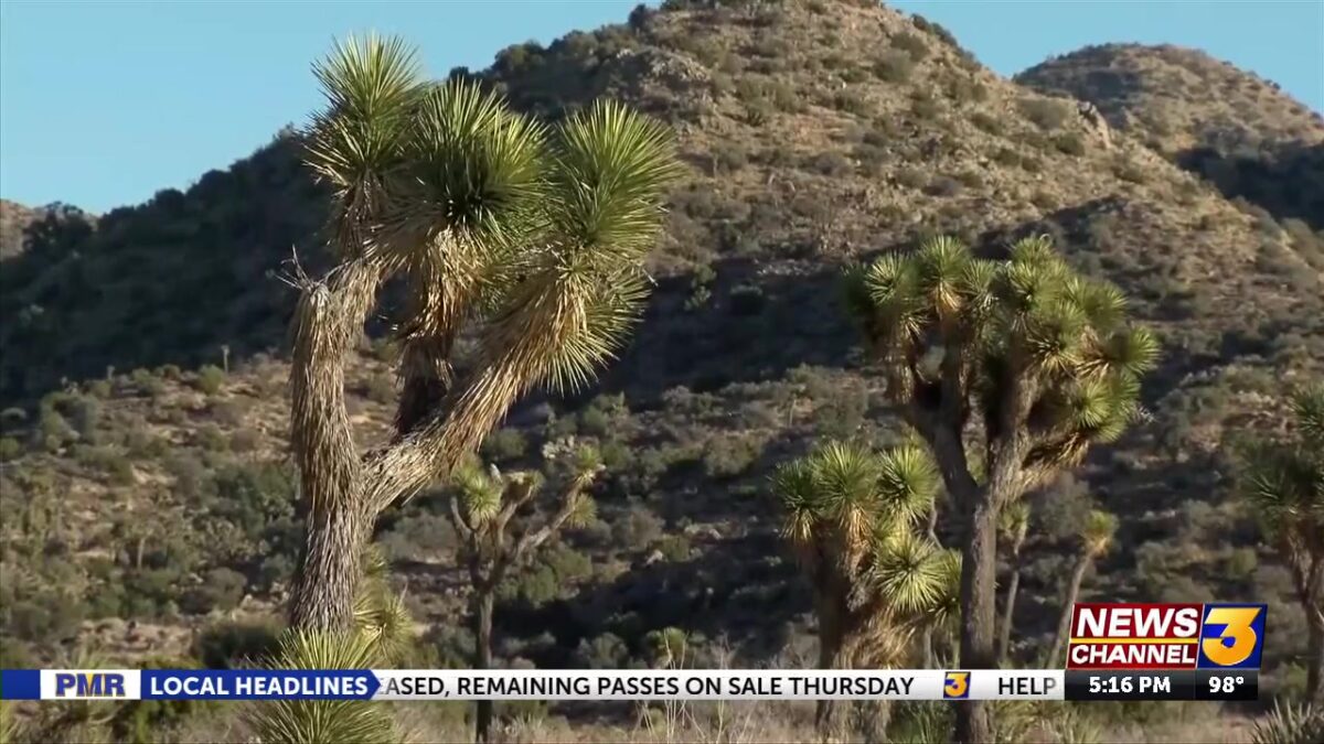 What public lands could be for sale in the Coachella Valley? Local conservation groups react