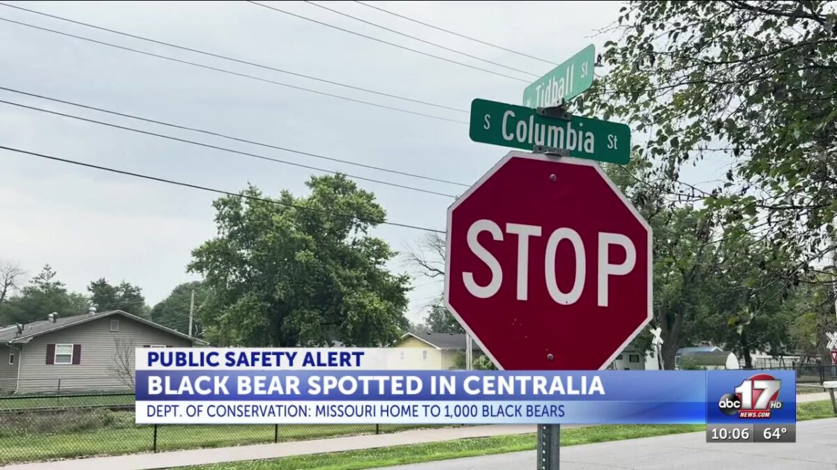 Centralia Police Department warns public after bear sighting