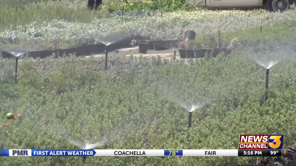 Groundwater in the Colorado River Basin is being depleted. What that means for the Coachella Valley