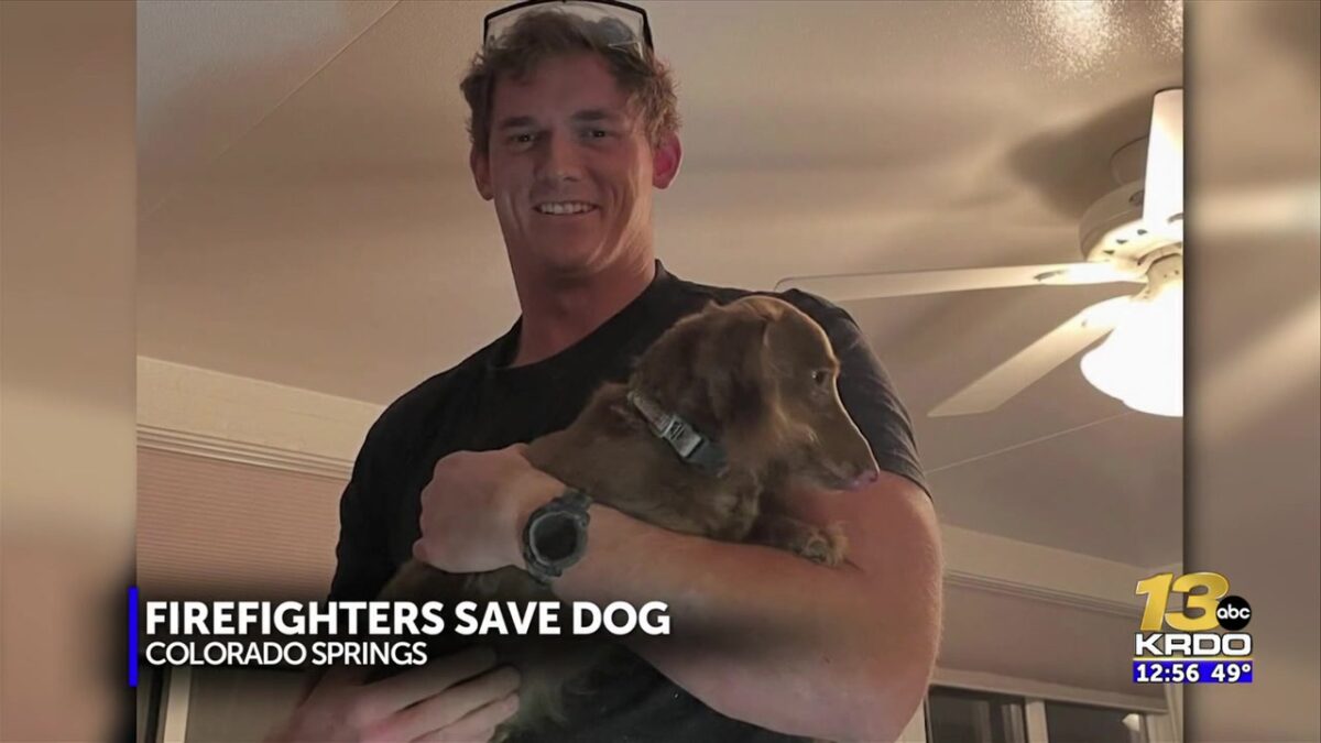 Colorado Springs Fire Department rescues dachshund stuck in pipe