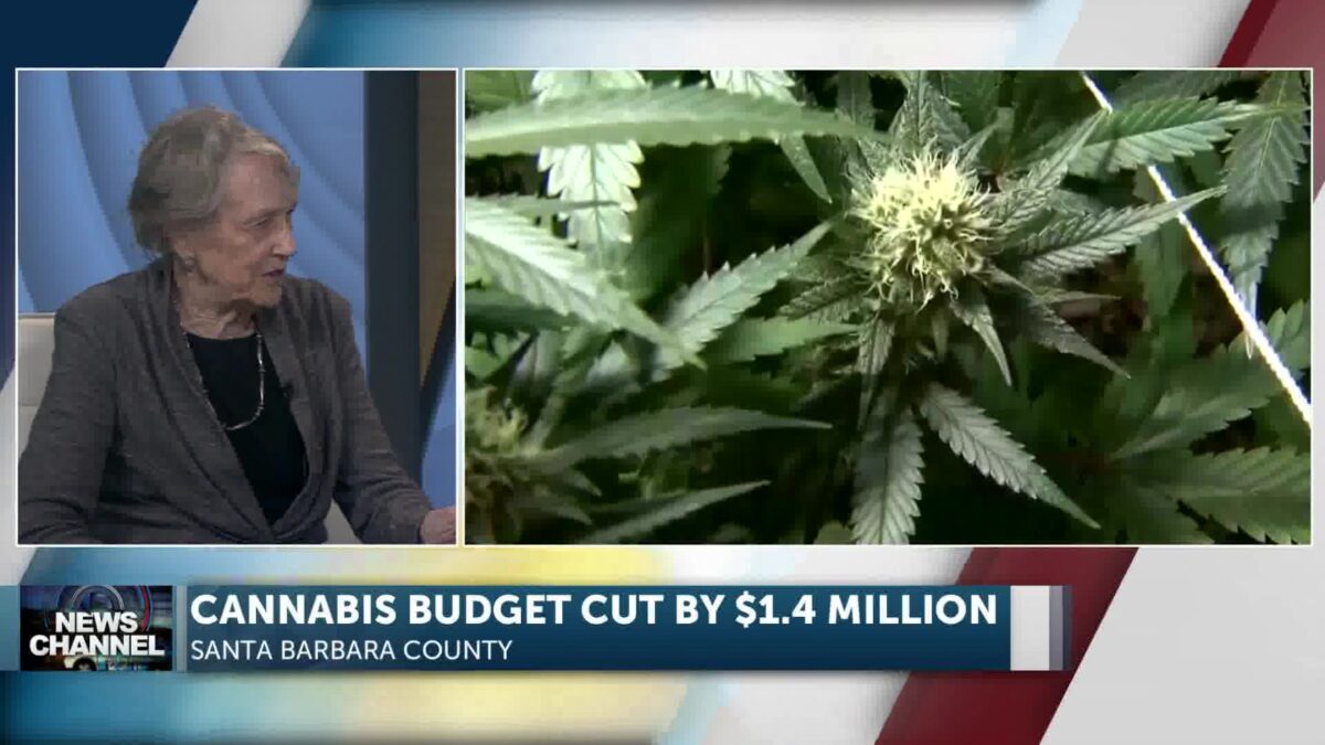 Reality Check: County Supes Cut $1.4 million in Cannabis-Related Costs