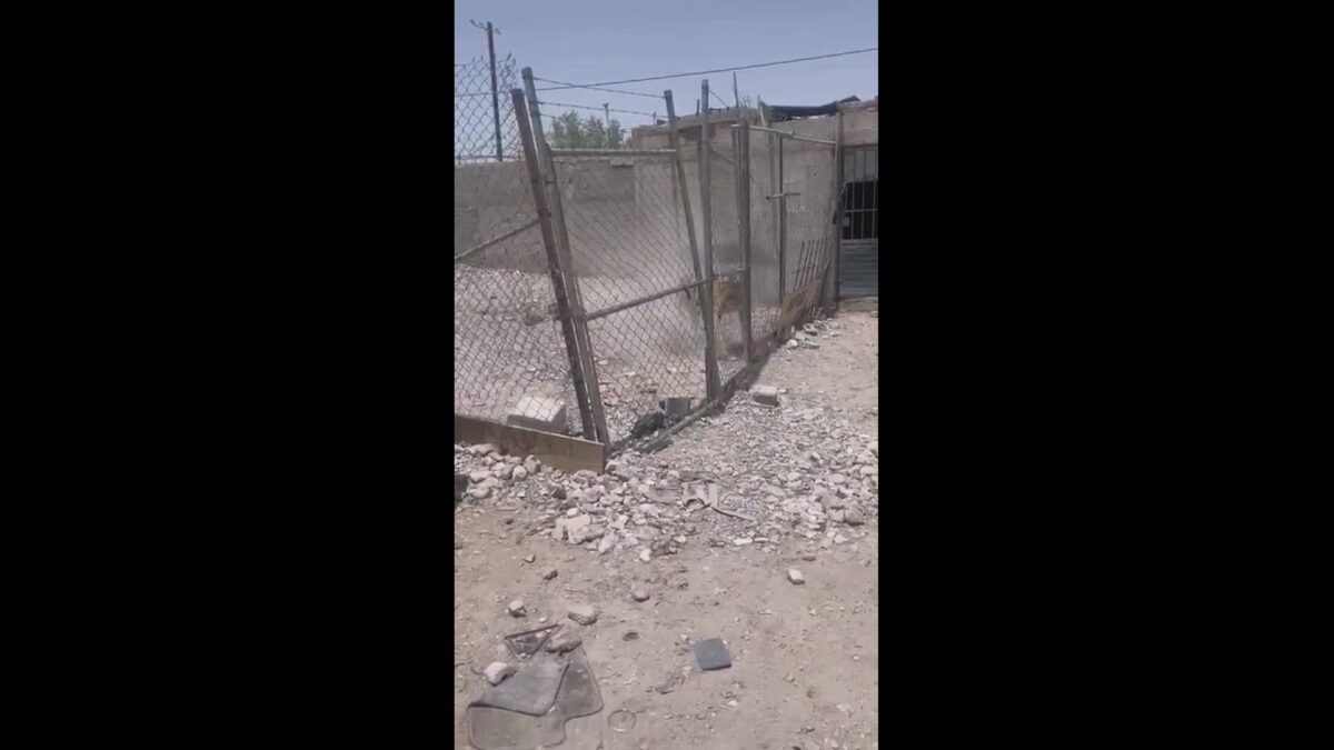 Tiger seized in Juárez neighborhood
