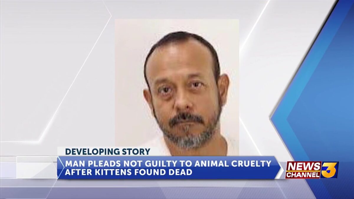 Cathedral City man pleads not guilty to animal cruelty charges after kittens found dead in trash bag