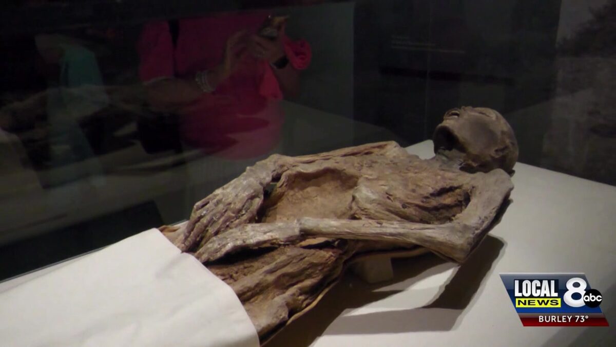 Idahoans all wrapped up in Museum of Idaho’s new mummy exhibit