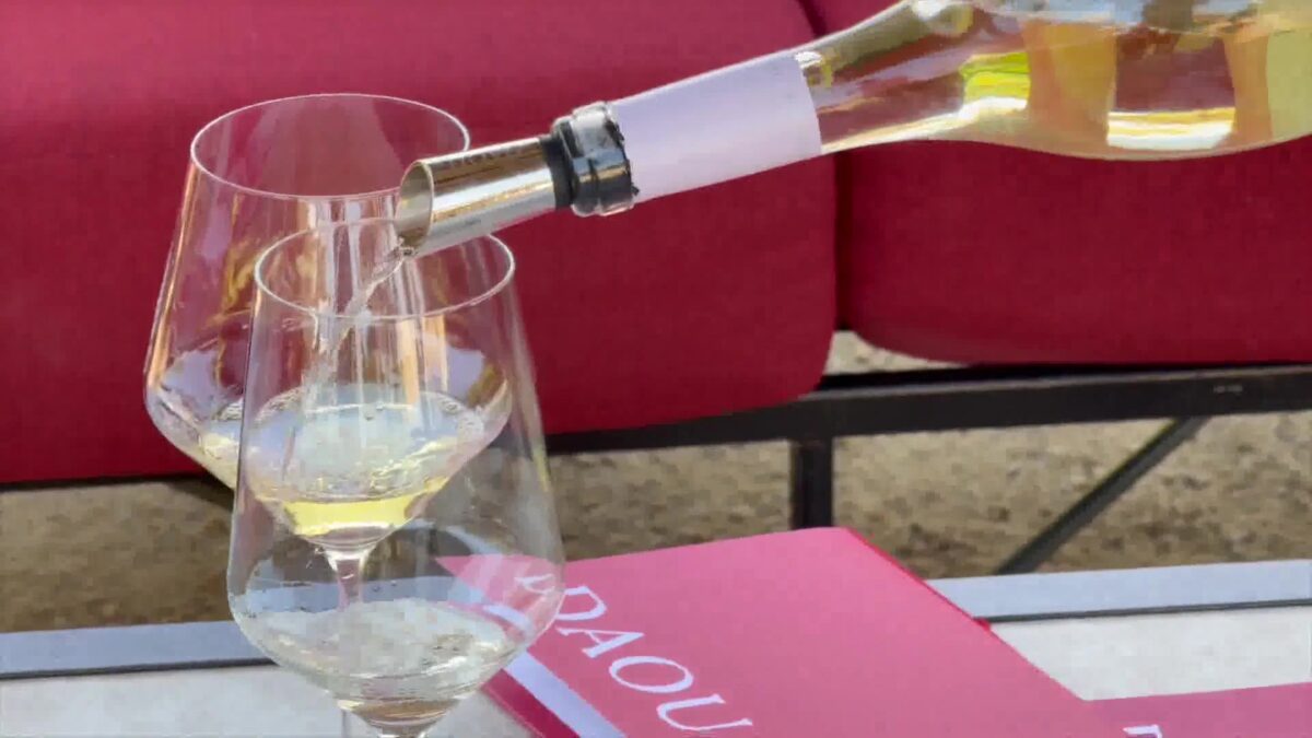 How Heat Impacts Wine Flavor and Harvest in San Luis Obispo County