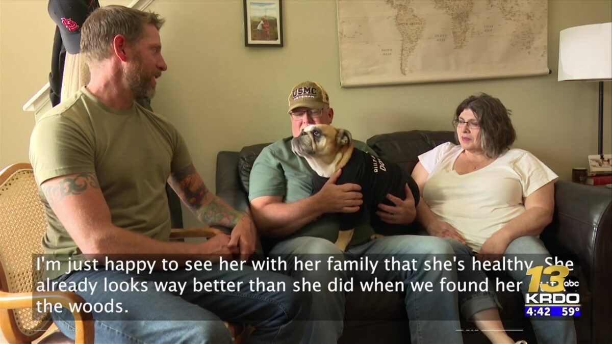 Cripple Creek family says English Bulldog survived for 29 days lost in the wilderness