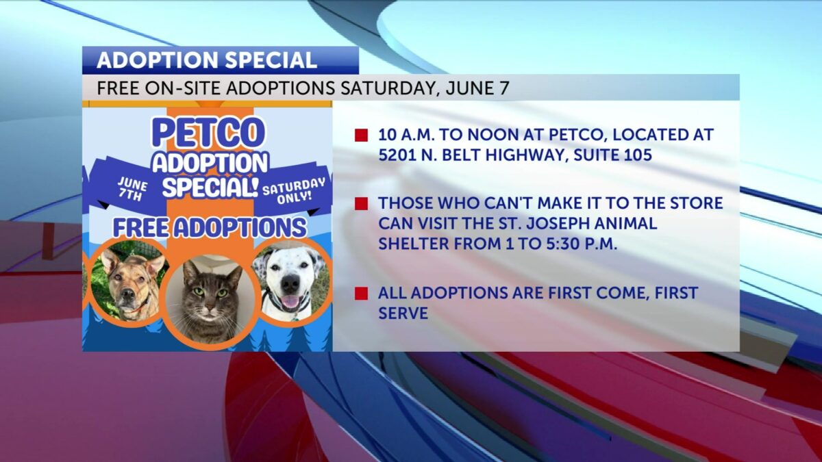 Animal shelter