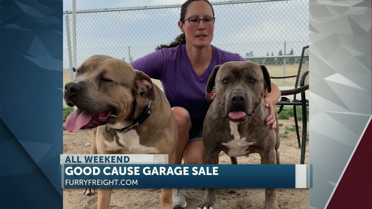 Furry Freight Shelter Transport to hold 8th annual benefit yard sale this weekend