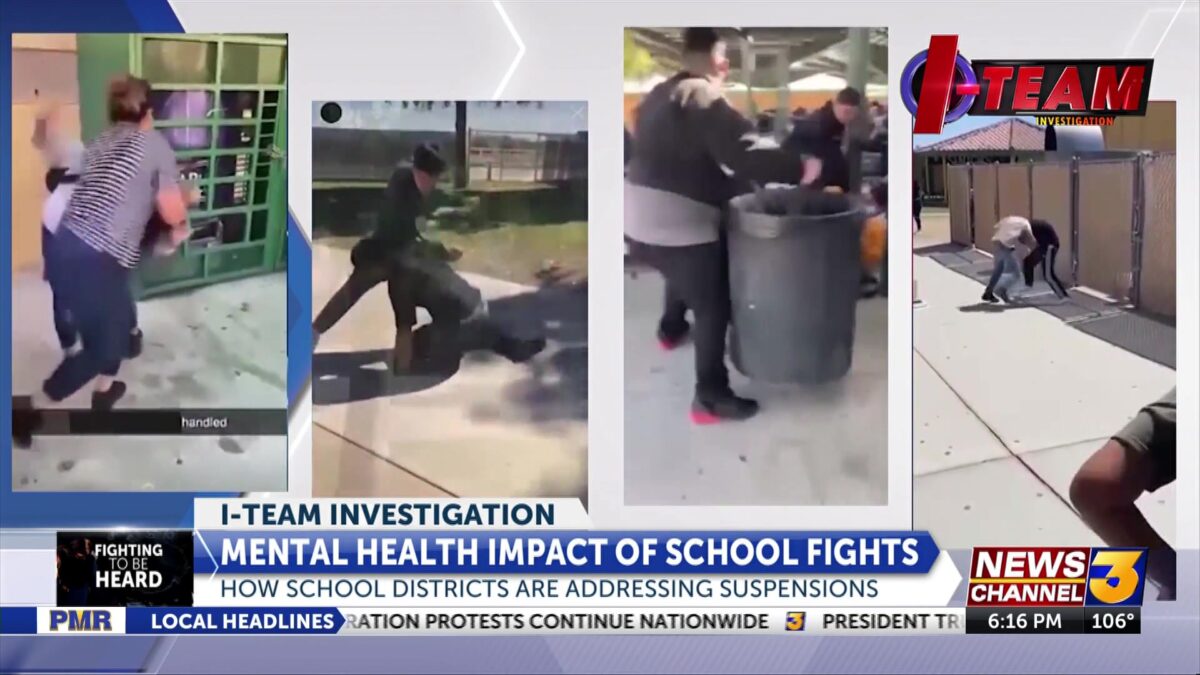 Fighting to be Heard: Impact of fights on student mental health in the Valley