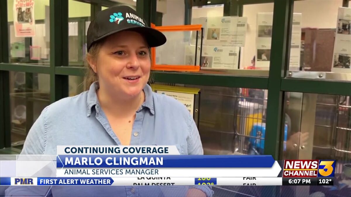 San Jacinto Valley animal shelter to stay open until midnight Saturday amid overcrowding crisis