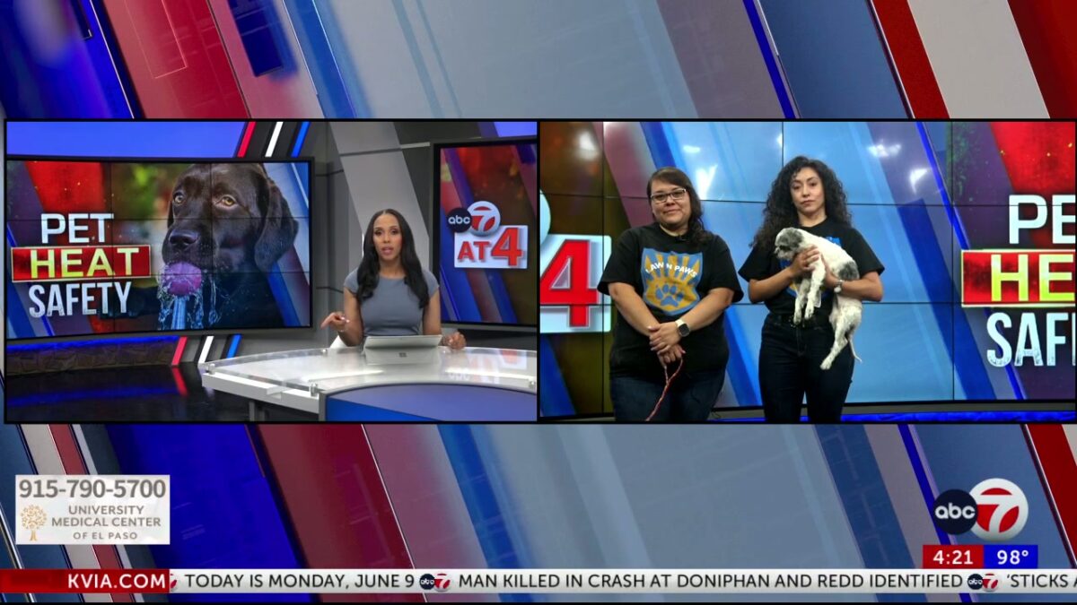 ABC-7 at 4: Pet Heat Safety