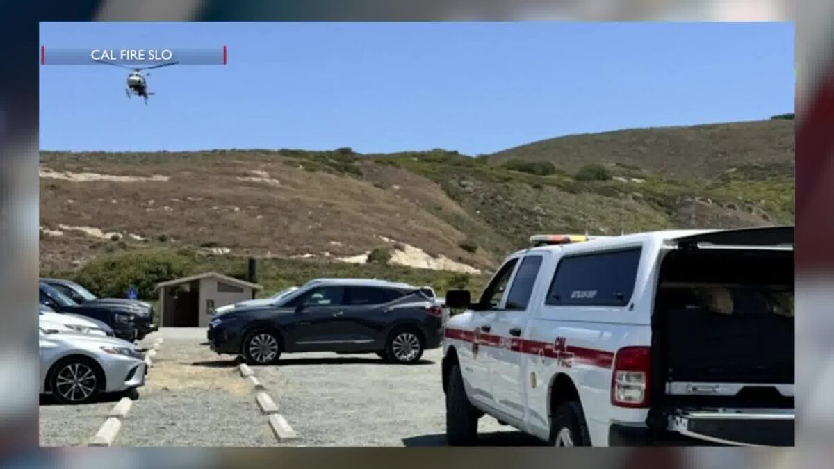CAL FIRE SLO crews searching for horse in a ravine in Los Osos