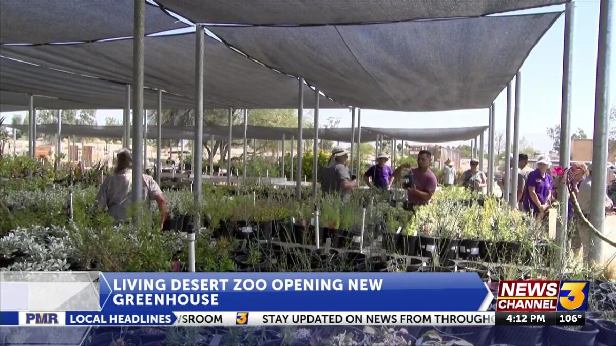 Conservation Greenhouse open at Living Desert in effort to improve climate resilience