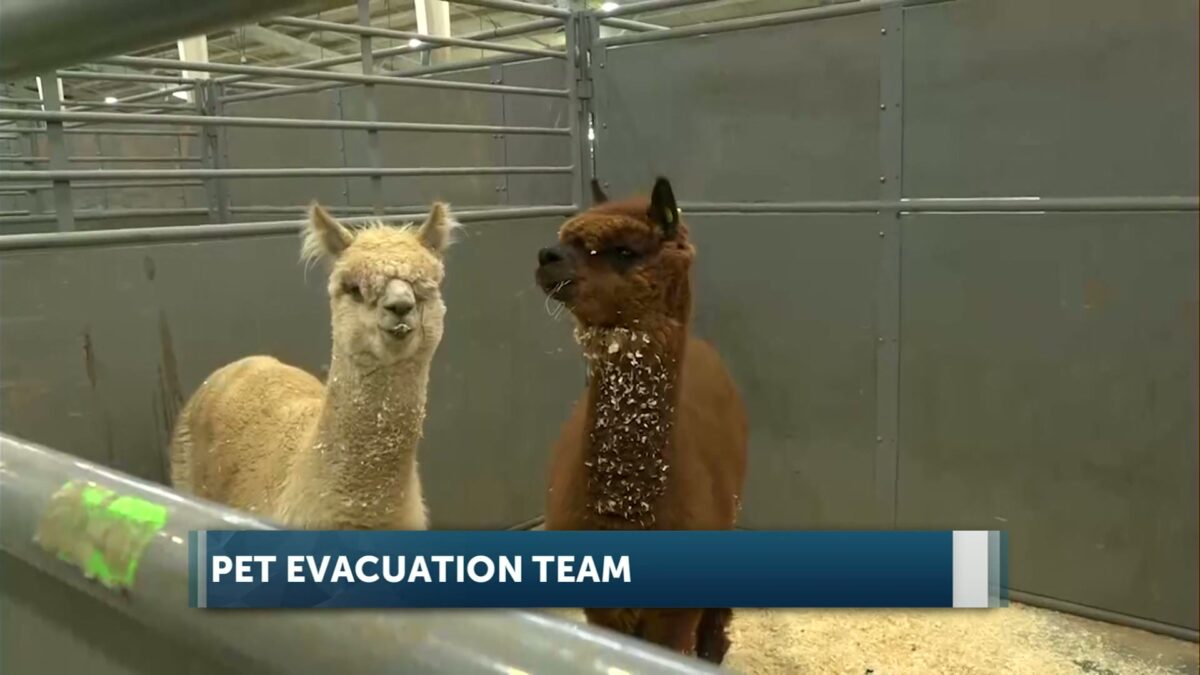 ‘The community is awesome!’ Donations pour in for evacuated animals staying at Deschutes County Fairgrounds