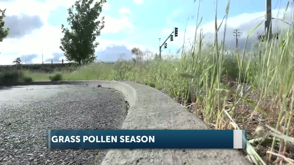 Area’s second allergy season lingers into summer